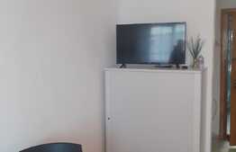 Garsoniera renovata, 24 mp, parcare, pet friendly, zona Lombului