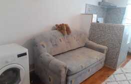Garsoniera renovata, 24 mp, parcare, pet friendly, zona Lombului