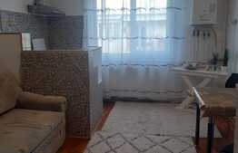 Garsoniera renovata, 24 mp, parcare, pet friendly, zona Lombului