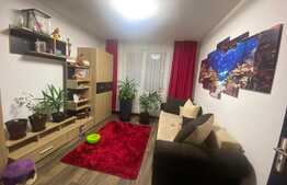 Apartament 2 camere, decomandat, la cheie, zona Teilor!