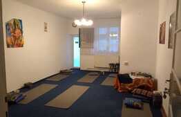 Casa cu 2 apartamente, 100 mp utili, 500 mp teren, semicentral!