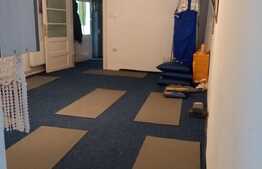 Casa cu 2 apartamente, 100 mp utili, 500 mp teren, semicentral!