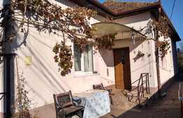 Casa cu 2 apartamente, 100 mp utili, 500 mp teren, semicentral!