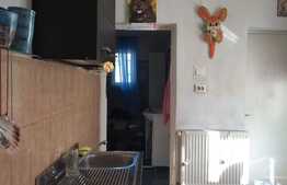 Casa cu 2 apartamente, 100 mp utili, 500 mp teren, semicentral!