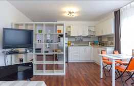 Garsoniera de inchiriat, 37 mp, Someseni