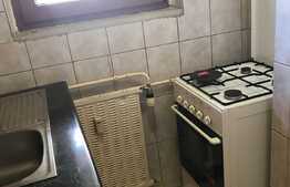 Garsoniera, 28 mp, pet friendly, parcare, zona Centrala 