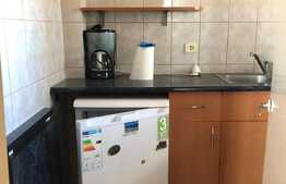 Garsoniera, 28 mp, pet friendly, parcare, zona Centrala 