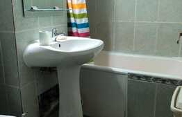 Garsoniera, 28 mp, pet friendly, parcare, zona Centrala 