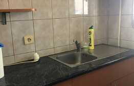 Garsoniera, 28 mp, pet friendly, parcare, zona Centrala 