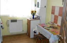 Vanzare 2 camere, 63 mp, decomandat, zona Muzeul Apei!