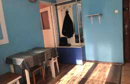 Garsoniera de 25 mp, decomandata, zona Parcului Babes