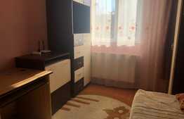 Garsoniera de 25 mp, decomandata, zona Parcului Babes