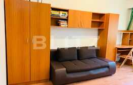 Oportunitate ! Garsoniera de vanzare , 21 mp utili, etaj intermediar,chiriasi,  zona Mercur !