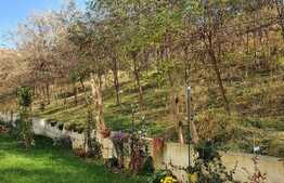 Apartament 3 camere semidecomandat 65mp, zona Colina , Manastur