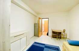 Garsoniera decomandata, 24 mp, zona Studium Green