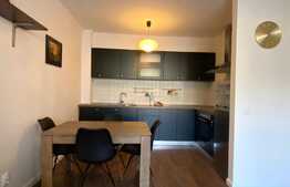 Apartament cu 2 camere, 52 mp, terasa 40 mp, parcare, zona strazii Maramuresului