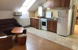 Apartament 3 camere, 55 mp, parcare, pet friendly, zona strazii Intre Lacuri