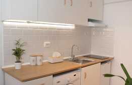 Investiție! Cameră de cămin modernizată, 24 mp, etajul 1, zona Noua