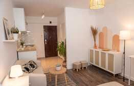 Investiție! Cameră de cămin modernizată, 24 mp, etajul 1, zona Noua