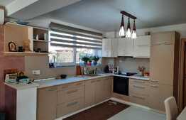 De vanzare casa individuala,180 mp utili, 2500 mp teren,zona linistita