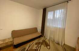 Apartament cu 2 camere, decomandat, pet friendly, zona Alverna