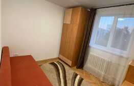 Apartament cu 2 camere, decomandat, pet friendly, zona Alverna