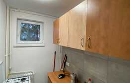 Apartament cu 2 camere, decomandat, pet friendly, zona Alverna