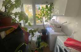 Apartament de 4 camere, 2 balcoane, mobilat, Manastur!