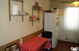 Apartament de vanzare 3 camere, 56 mp utili, zona Big