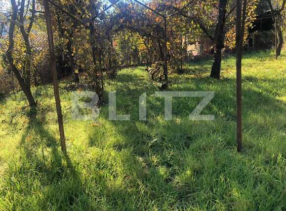 Casa de închiriat 2 camere Gruia - 74700CI | BLITZ Cluj-Napoca | Poza11