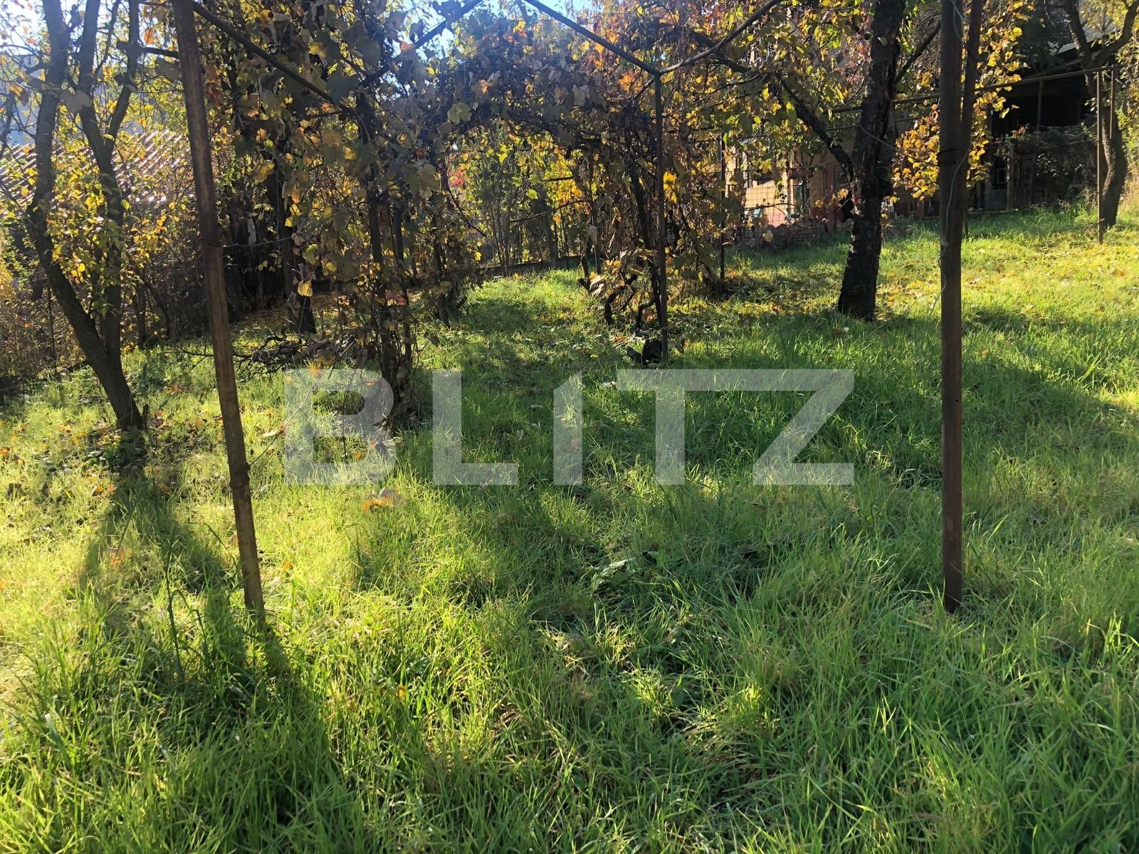 Casa de închiriat 2 camere Gruia - 74700CI | BLITZ Cluj-Napoca | Poza11