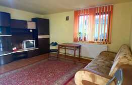 Garsoniera la casa, 25 mp, zona strazii Buhusi
