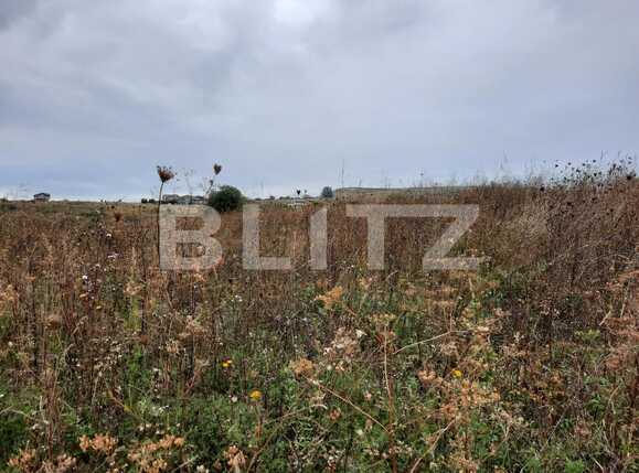 Teren de vânzare Chinteni - 74732TV | BLITZ Cluj-Napoca | Poza1