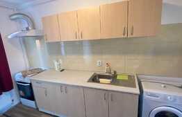 Apartament cu 2 camere, pet friendly, decomandat, 50 mp, zona strazii Negoiu