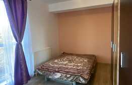 Apartament cu 2 camere, pet friendly, decomandat, 50 mp, zona strazii Negoiu