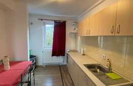 Apartament cu 2 camere, pet friendly, decomandat, 50 mp, zona strazii Negoiu