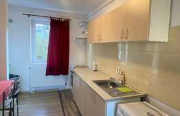 Apartament cu 2 camere, pet friendly, decomandat, 50 mp, zona strazii Negoiu