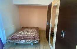 Apartament cu 2 camere, pet friendly, decomandat, 50 mp, zona strazii Negoiu
