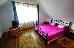 Casă de vacanță Paraul Rece, la marginea pădurii!