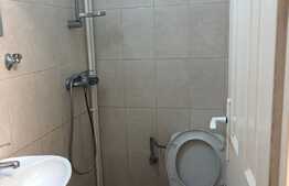 Garsoniera tip studio, 35 mp, pet friendly, zona Parcului Feroviar 