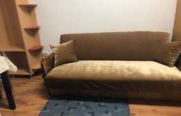 Garsoniera tip studio, 35 mp, pet friendly, zona Parcului Feroviar 