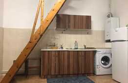 Garsoniera tip studio, 35 mp, pet friendly, zona Parcului Feroviar 