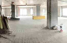 Spatiu servicii, 235 mp, terasa 130 mp, Gheorgheni!