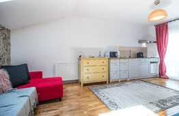 Amortizare rapida a sumei investite! Casa cu 11 camere in zona Eugen Ionesco