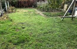 Casa de vanzare 50 mp si 250 mp teren, in cartierul Marasti!