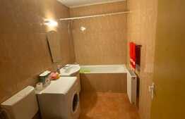 Garsoniera de inchiriat, 40 mp, decomandata, zona Alverna