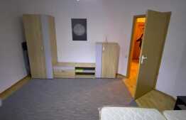 Garsoniera de inchiriat, 40 mp, decomandata, zona Alverna