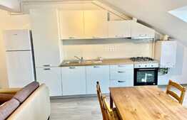 Apartament cochet, 2 camere, 49 mp, zona strazii Dumitru Mocanu!