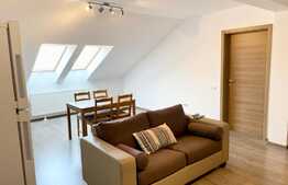 Apartament cochet, 2 camere, 49 mp, zona strazii Dumitru Mocanu!