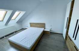 Apartament cochet, 2 camere, 49 mp, zona strazii Dumitru Mocanu!